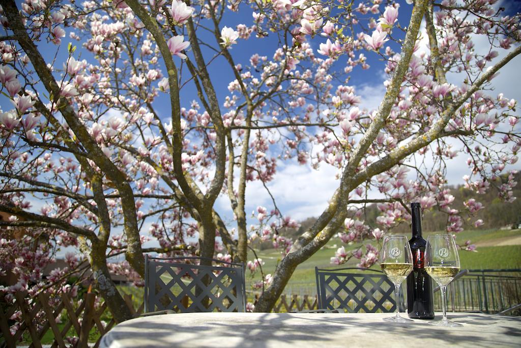 Cave Beetschen Bed & Breakfast Bursins Dış mekan fotoğraf